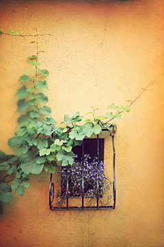 贺兰玥瑶采集到Door&Window