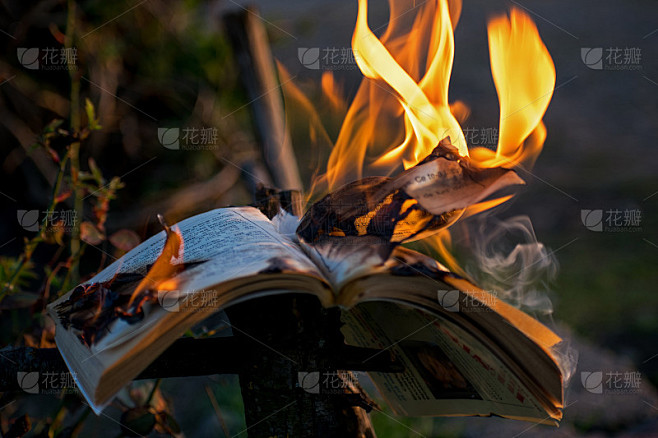 烧书。书页在火焰里的书。