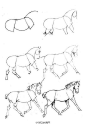 #绘画学习# 关于马的一些设计绘制画法参考！