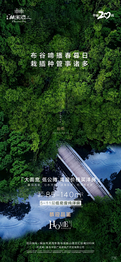 HI青红造了个白采集到排版