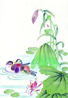 花鸟画   - 源文件下载【酷图网】花鸟画,牡丹花鸟画,牡丹,牡丹花鸟国画,国画牡丹,国画花鸟,手绘牡丹花鸟,手绘牡丹,手绘花鸟,花开富贵,工笔花鸟画,