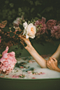 Milky water, flowers in tub, in flower and flower HD photo by Anita Austvika (@anitaaustvika) on Unsplash : Download this photo by Anita Austvika (@anitaaustvika)