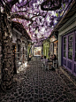 全球最美 的20条街道1
希腊莱斯沃斯岛