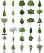 Trees - Free PSD Designs & Vectors: 