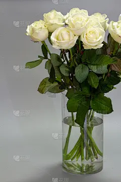 白色玫瑰花束在一个玻璃花瓶上的灰色背景，贺卡或概念