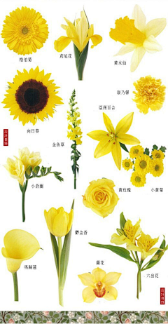 风之旅168采集到花