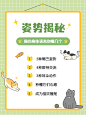 宠物知识科普手帐风下坡小红书套装小红书配图