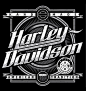 Harley-Davidson (4)