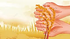 夏天立夏二十四节气手绘手掌麦子麦田 页面网页 平面电商 创意素材