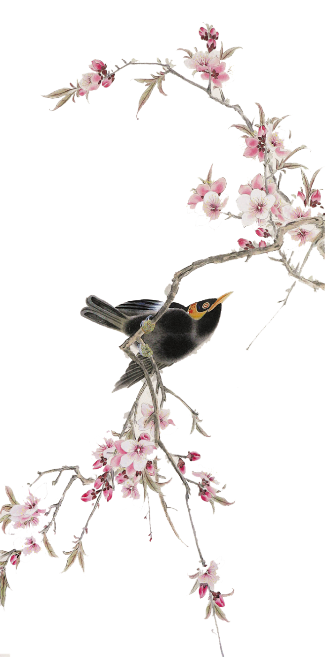 花枝花鸟图