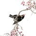 花枝花鸟图