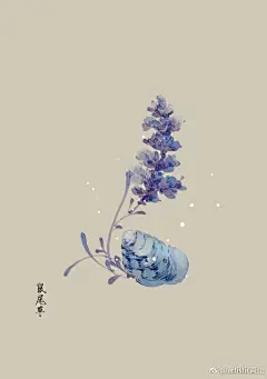 #365天生日花#    12月18日 鼠尾草 (Sage)
花语 : 家庭观念 ​​​​