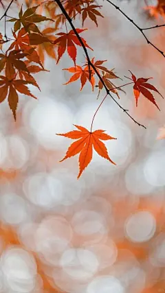 手机海报壁纸｜背景素材图_5_小莎的AI绘画魔法_来自小红书网页版