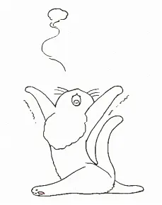 晚安喵-过期猫粮