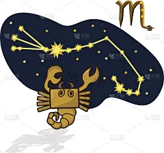 矢量图的蝎子在一个矩形的形式