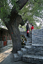 Micro-Housing: Hutong Experiments by Standardarchitecture. Photo by Chen Su | Yellowtrace