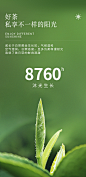 首日芽 馥益堂2020新茶 福鼎白茶白毫银针特级白茶茶叶500g收藏装-tmall.com天猫