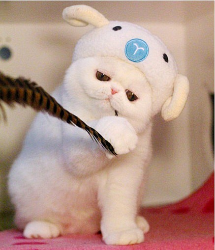 这糖真甜真好吃~