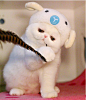 这糖真甜真好吃~