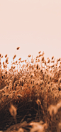https://images.zsxq.com/FvyAU8mxrUK-IcJNhbOpTKkM647Z?e=1612108799&token=kIxbL07-8jAj8w1n4s9zv64FuZZNEATmlU_Vm6zD:5Pis1PV8uJfJ1fIN8JKOb9pYleE=