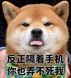 柴犬表情包 的图像结果