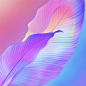 HUAWEI Enjoy 20e Highend Version_PurpleLeaf Theme Wallpapaer