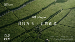 阿良良木厉采集到VI/包装/衍生品
