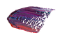 颜料