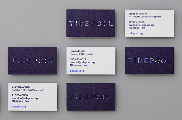 Tidepool 视觉识别系统//Mon...