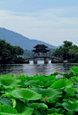 West lake, Hangzhou, China. 杭州, 西湖. Those very upward eaves are typical design of traditional Chinese architecture for richer sunshine when it’s sunny and for rain water flowing faster to the ground...