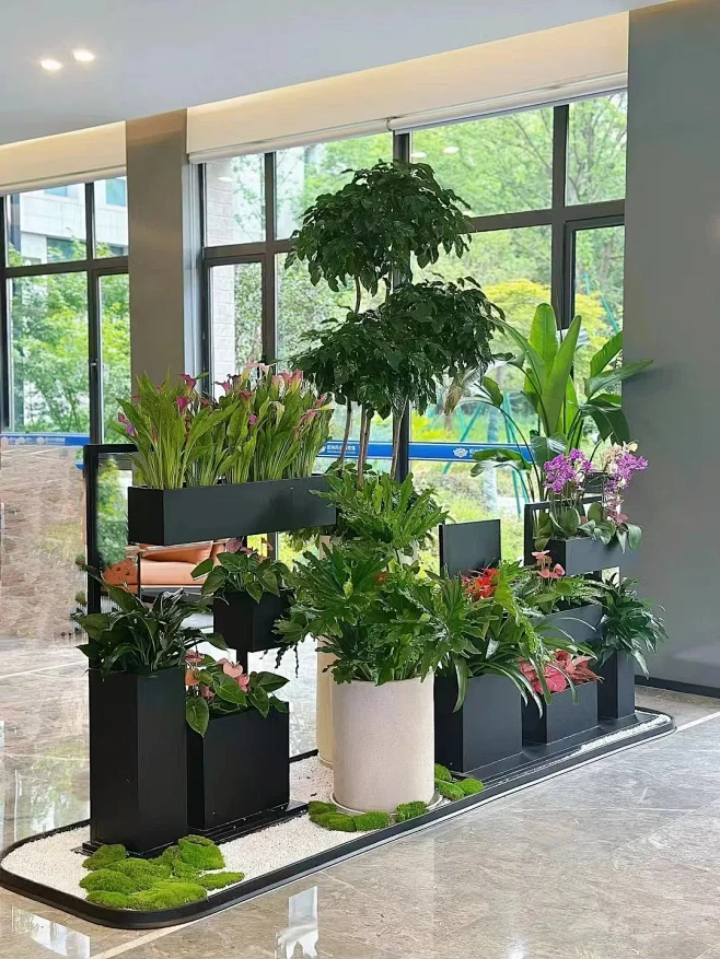 展厅绿植花箱造景分享 - 小红书-花瓣网