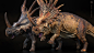 STYRACOSAURUS