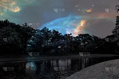 美丽抽象的纹理，彩色的黑白花卉和树木植物森林景观上的黑暗和极光北极星和星星天空银河银河的背景和壁纸