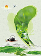 小清新绿色春茶上市海报宣传单 茶壶 高清背景 背景 设计图片 免费下载 页面网页 平面电商 创意素材