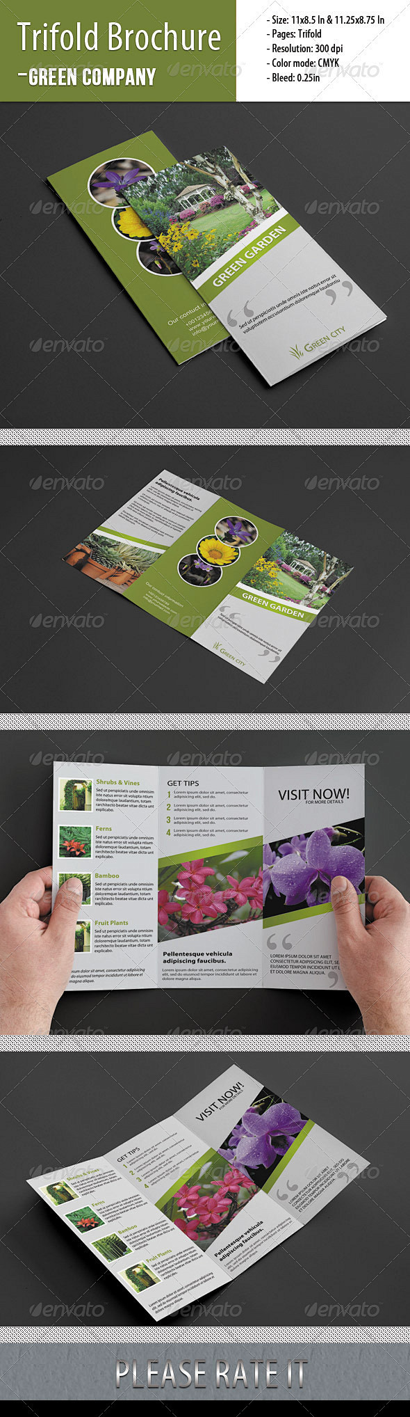 Trifold Brochure For...