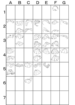 八火鸟采集到衣着画法