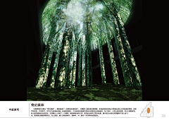 毛毛子哟采集到创意空间