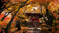 silent shrine, jason scheier : personal work 2021