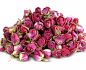 fc9546fc5d9fe41b19c9ad32f0c9113c8d93e77d72c36-v23JB1