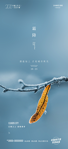 郑在改了采集到排版