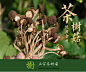 今年新货 江西特产农家自产天然茶树茶干货不开伞茶薪菇特级250g-淘宝网