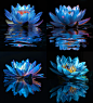 suyunkai_Blue_lotus_flower_on_the_water_surface_with_a_reflecti_5 (1)