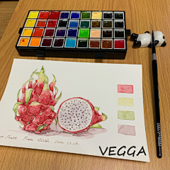 VEGGA小笨采集到VEGGA小笨的手绘清新水彩