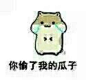 qq仓鼠表情包图片_360图片