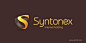 Syntonex 互联网设计开发公司 logo