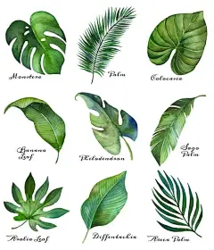 Pinterest