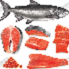 鱼海鲜 【酷图网】鱼,海鲜,鱼肉,三文鱼,冷冻鱼,水产,贝类,螃蟹,乌龟,八爪鱼,金鱼,美人鱼,小龙虾卡通鱼,矢量鱼,手绘鱼,鱼插画,鱼剪影,鱼图标,素描鱼,鱼元素,水彩鱼,鱼素材,鲨鱼,鲸鱼,鲤鱼,海豚,海洋世界,海底世界,珊瑚,海星,淡水鱼,海水鱼,鱼类,鱼商标,鱼LOGO,钓具,钓鱼,海洋
