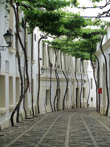 Street of Jerez, Spa...