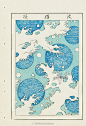 1900年的日本浮世绘设计 ​​​​