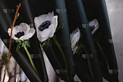 美丽和现代的花卉组成与银莲花，玫瑰，毛茛和绣球与黑白磨砂纸在市花市场